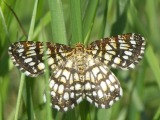 Kuva 10
