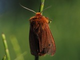Kuva 6a