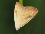 Kuva 9a