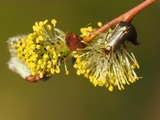 15.5.2019a