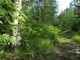 Biotooppi 1