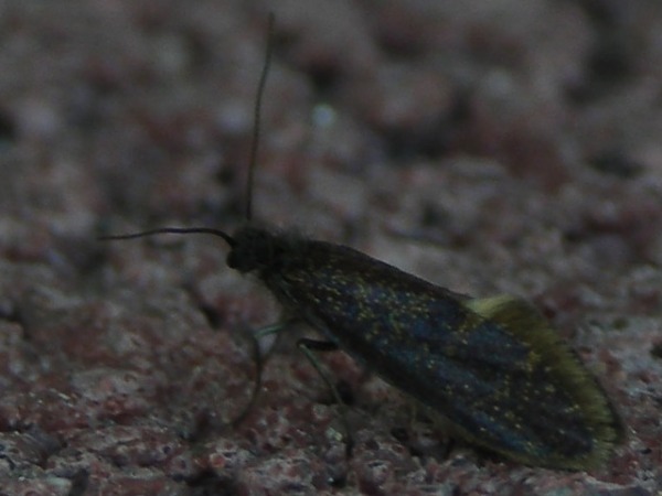 Kuva 6a