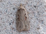 Kuva 4.5.2016B