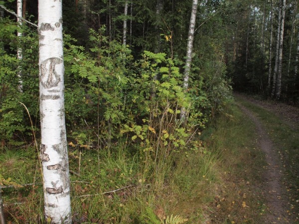 30.8.2010