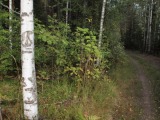 Kuva 30.8.2010