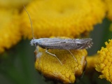 5.8.2019a