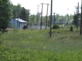 Kuva 2.7.2010