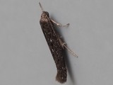 Kuva 8.7.2016