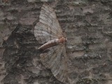 Kuva 20.6.2012