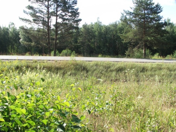 Ymp&auml;rist&ouml; 1