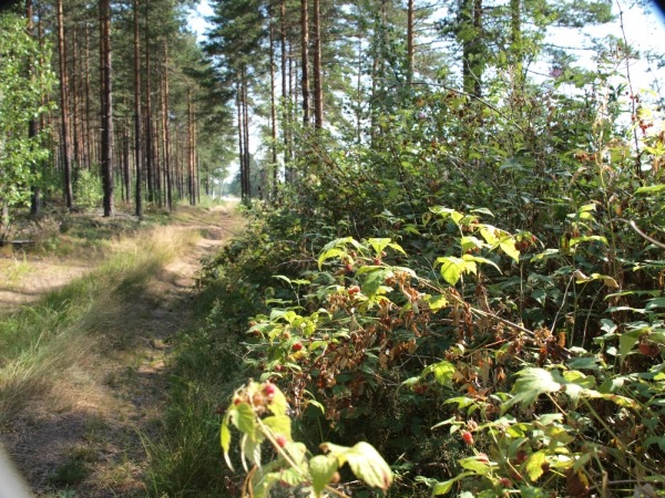 Ymp&auml;rist&ouml; 3