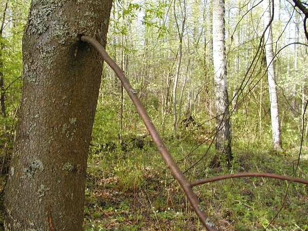 Ymp&auml;rist&ouml; 1