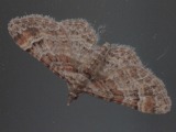 Kuva 9a