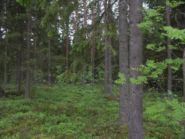 Ymp&auml;rist&ouml; 1