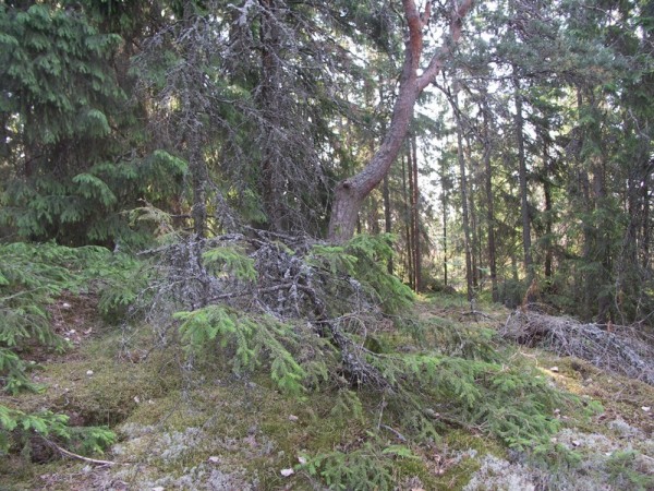 Ymp&auml;rist&ouml; 3