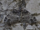 Kuva 7a