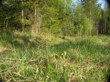 Biotooppi 3
