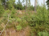 Biotooppi 4