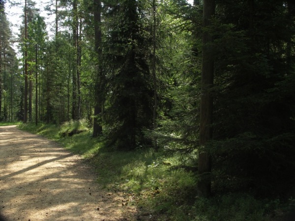 Ymp&auml;rist&ouml; 1