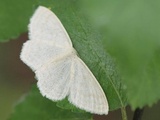 Kuva 20.6.2012