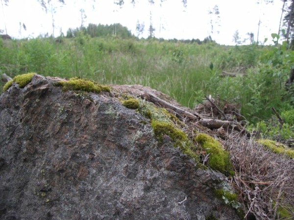 Ymp&auml;rist&ouml; 1