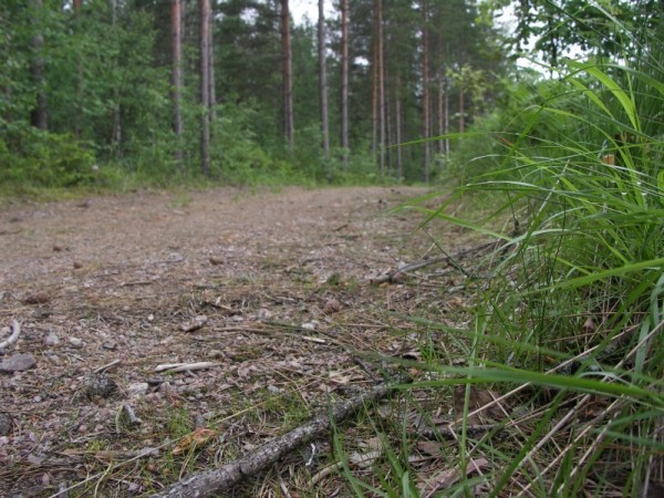 Ymp&auml;rist&ouml; 2