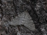 Kuva 7a