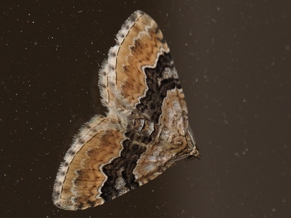 Kuva 11.6.2016a