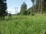 Biotooppi 4