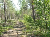 Biotooppi 1