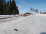 Toukka 27.3.2016B