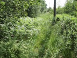 Biotooppi 1