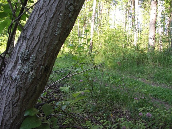 Ymp&auml;rist&ouml; 1