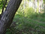 Biotooppi 1