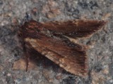 Kuva 7a