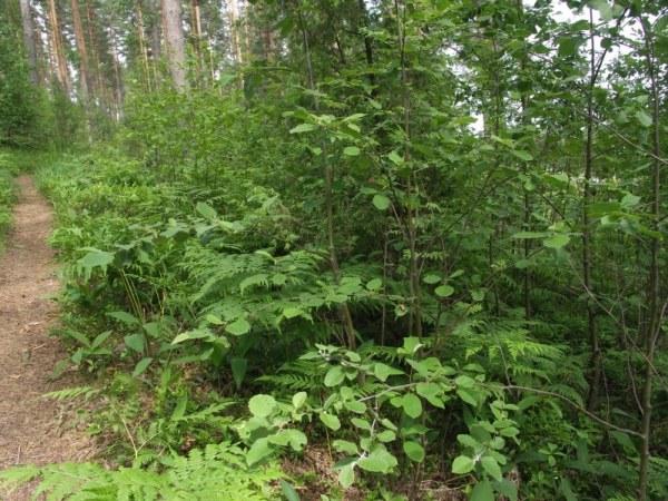 Ymp&auml;rist&ouml; 1