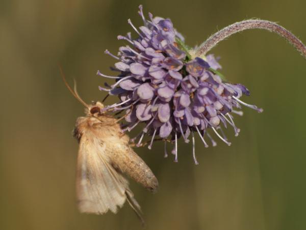 Kuva 13.8.2012b