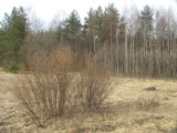 Biotooppi 2