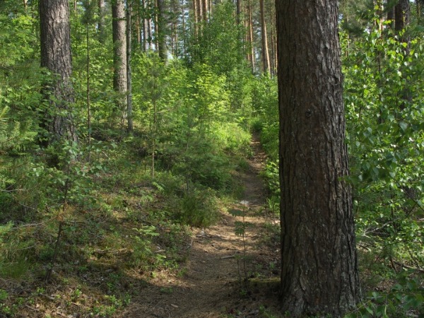 Ymp&auml;rist&ouml; 1