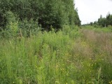 Biotooppi 2
