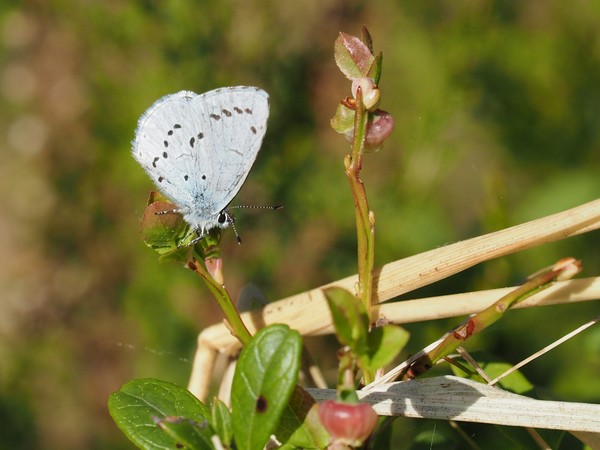 Kuva 16.5.2016
