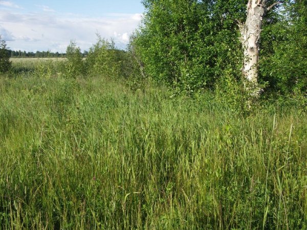Ymp&auml;rist&ouml; 1