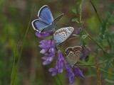 Kuva 18.7.2016A