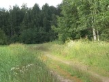 Biotooppi 1