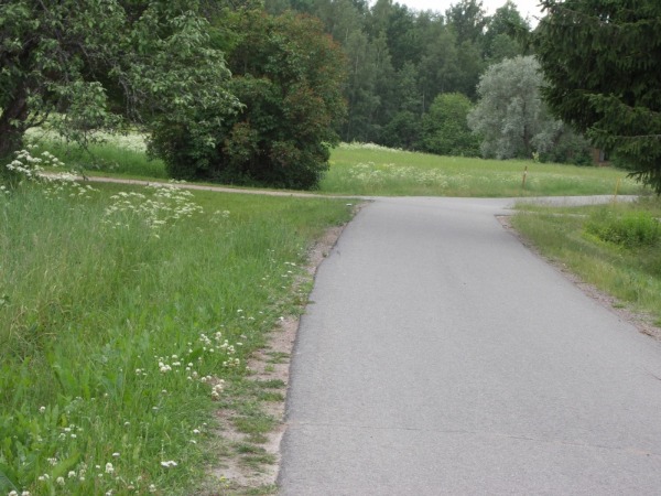 Kuva 24.6.2009b