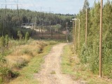 Biotooppi 1