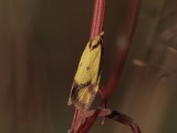 Kuva 3