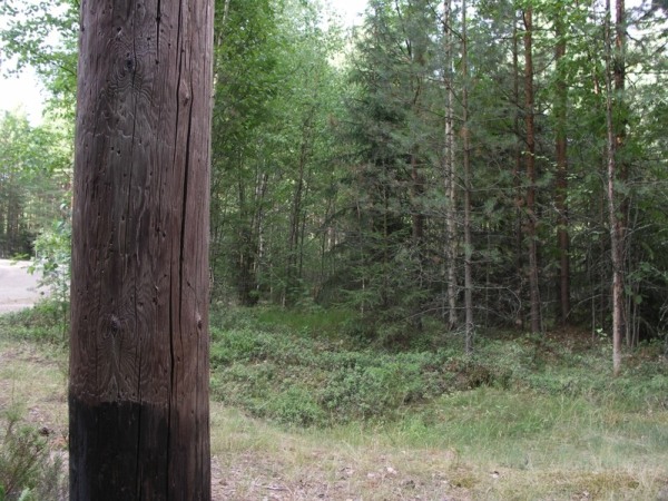 Ymp&auml;rist&ouml; 1