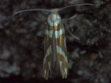 Kuva 3.7.2010