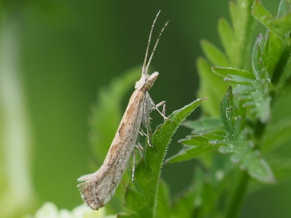 Kuva 29.5.2016